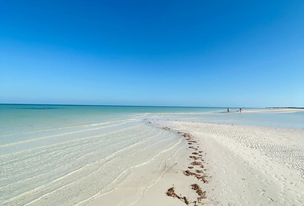 organisatrice voyage mexique