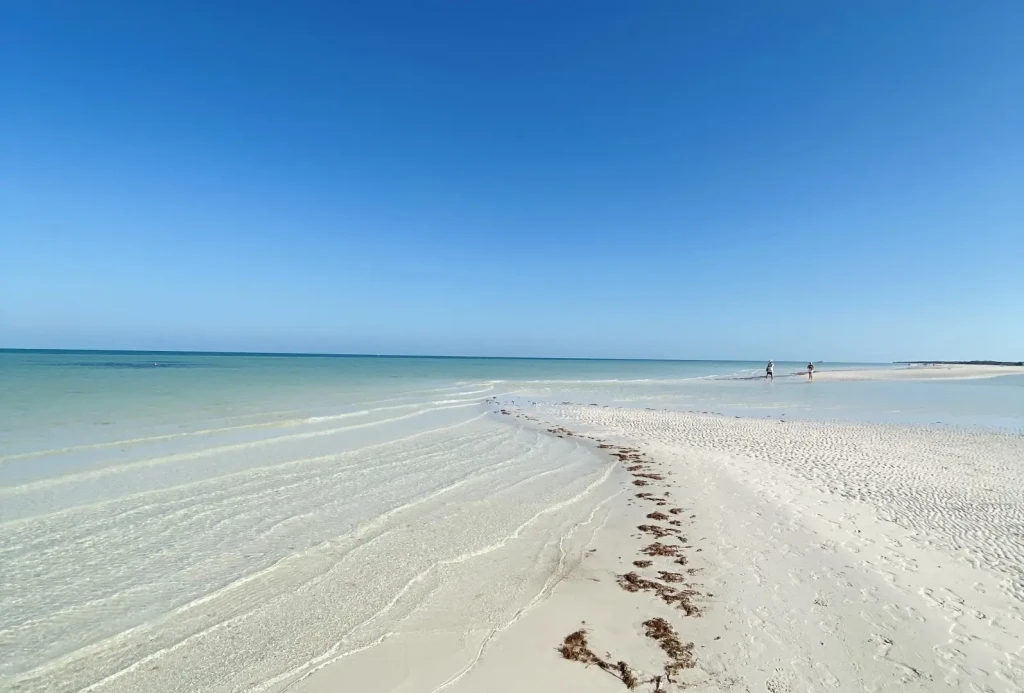 organisatrice voyage mexique