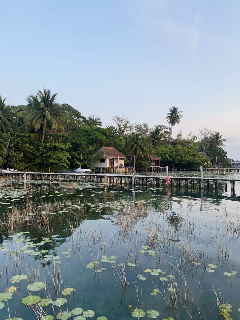 Vue Bacalar